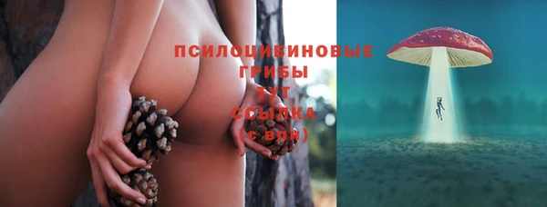 стаф Володарск