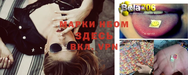 стаф Володарск