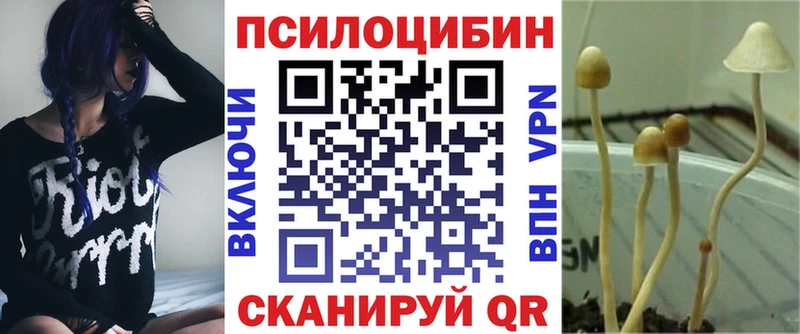 Галлюциногенные грибы Psilocybine cubensis  Киров 